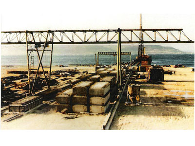 dlh1