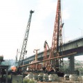 halic1