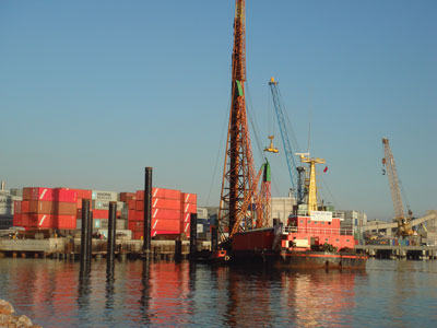 sefine 008